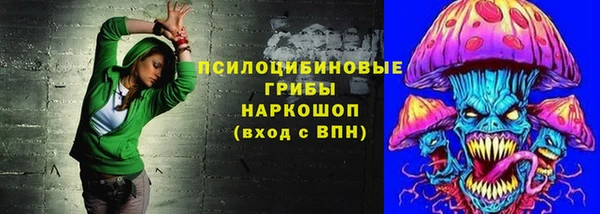 бошки Балахна